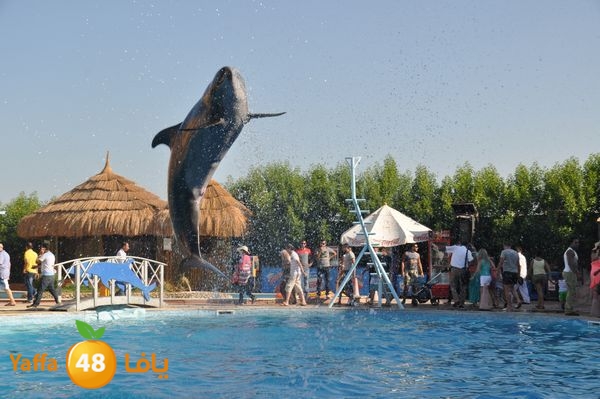 monir re7la sharm 817 (65).JPG
